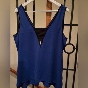 Express Royal Blue V-Neck Top